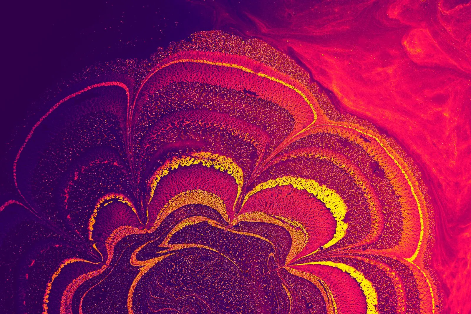 Dynamic abstract image of swirling paint resembling a flower in vivid pink and orange hues.